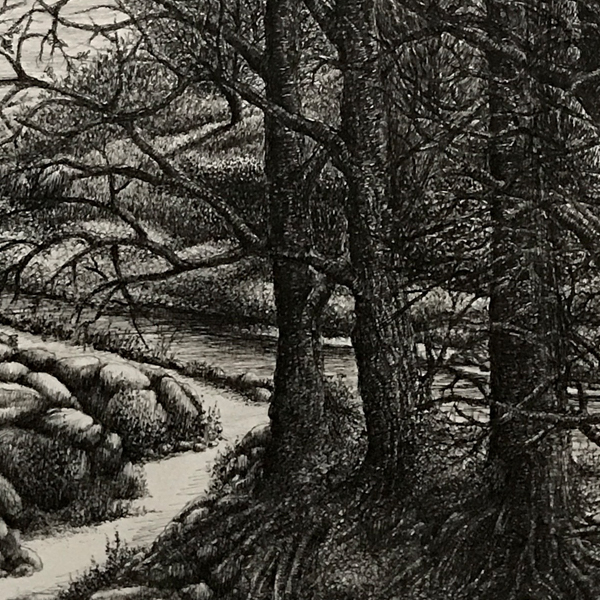 The Littoral Zone / Aqua Limina by Deb Marshall